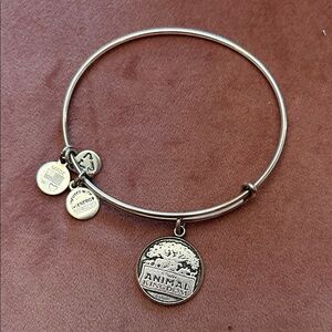 Alex and Ani Silver Animal Kingdom Bracelet